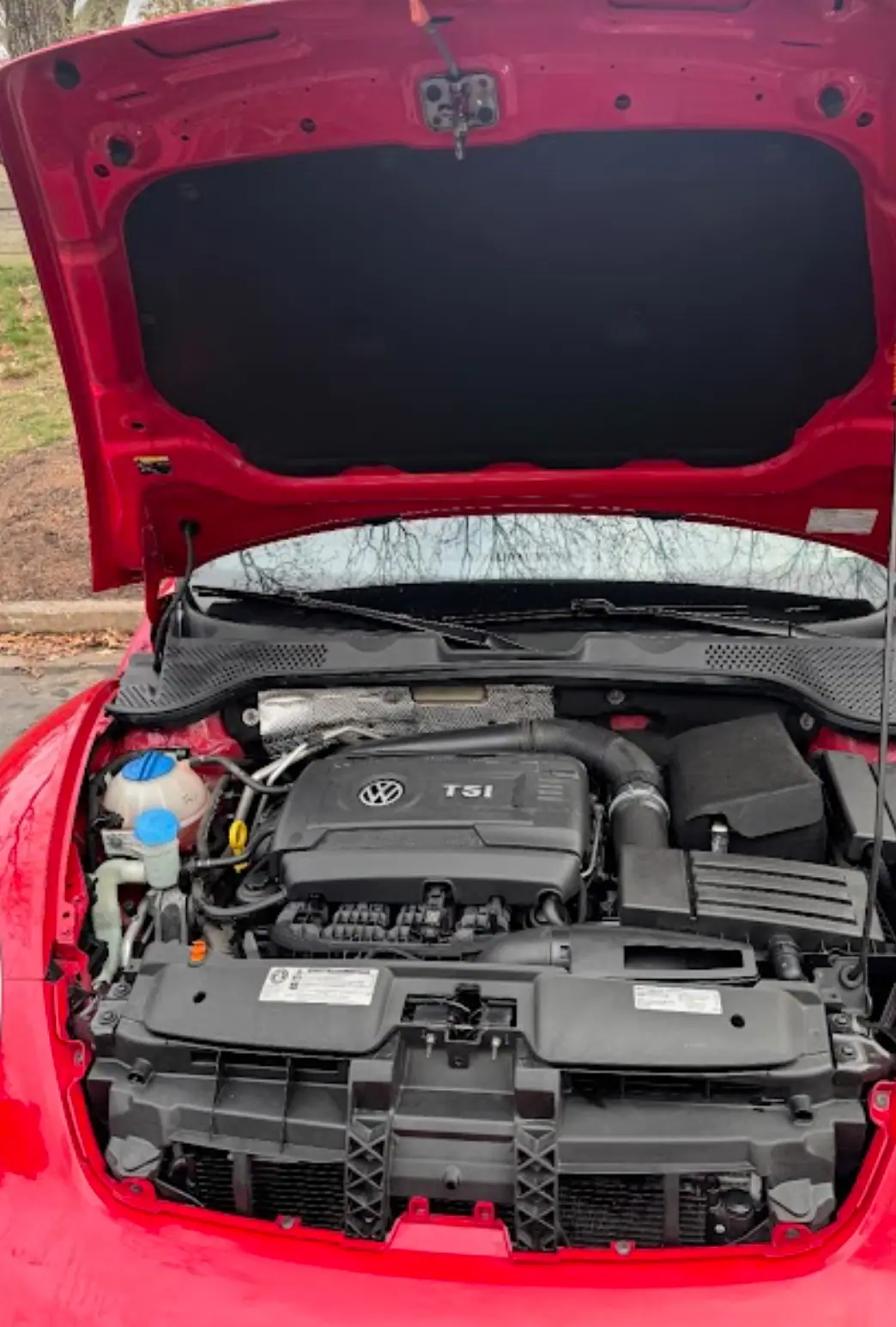 Engine Bay Cleaning